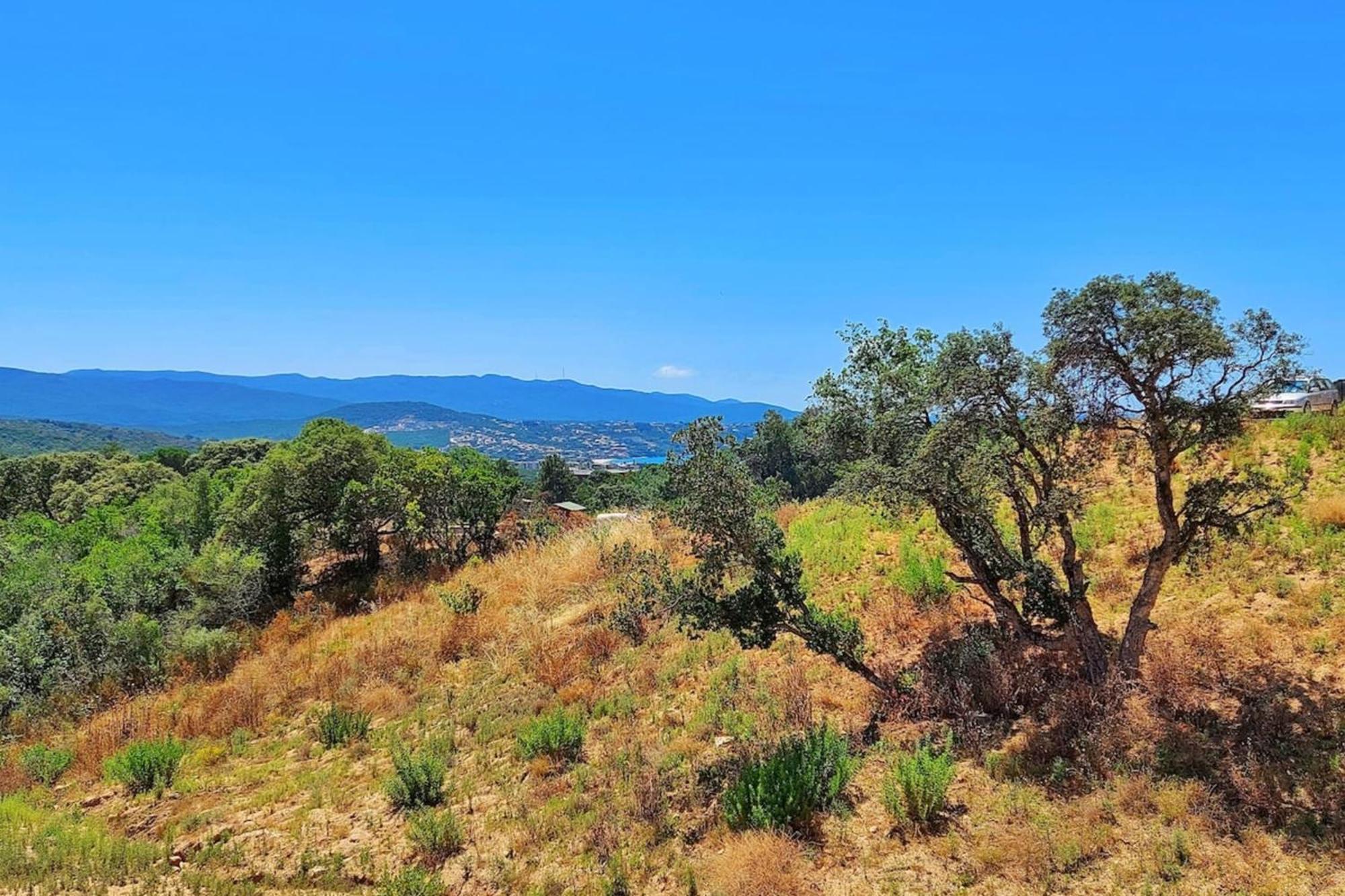 Amalia - Sea View Terrace Wifi Parking - By Tgb Διαμέρισμα Porticcio  Εξωτερικό φωτογραφία